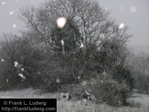 Winter in Ballymote 3